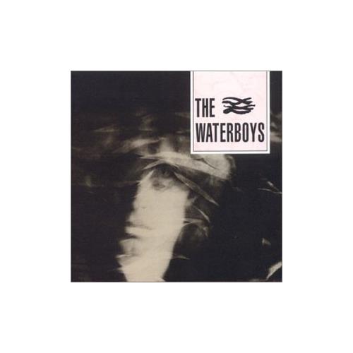 The Waterboys The Waterboys (LP)
